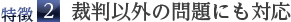 特徴２.　裁判以外の問題にも対応